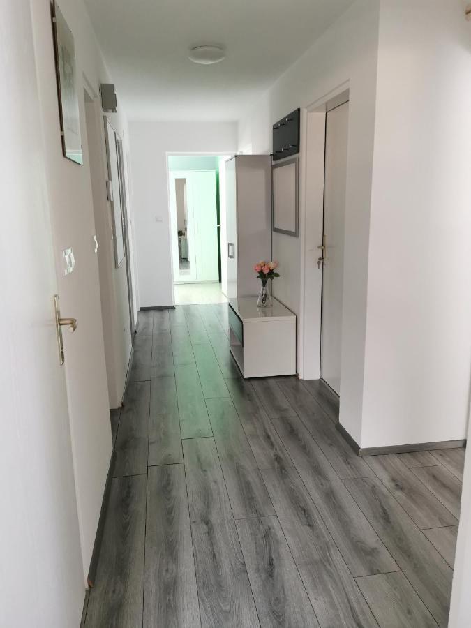 Apartment Petra מויסטראנה מראה חיצוני תמונה