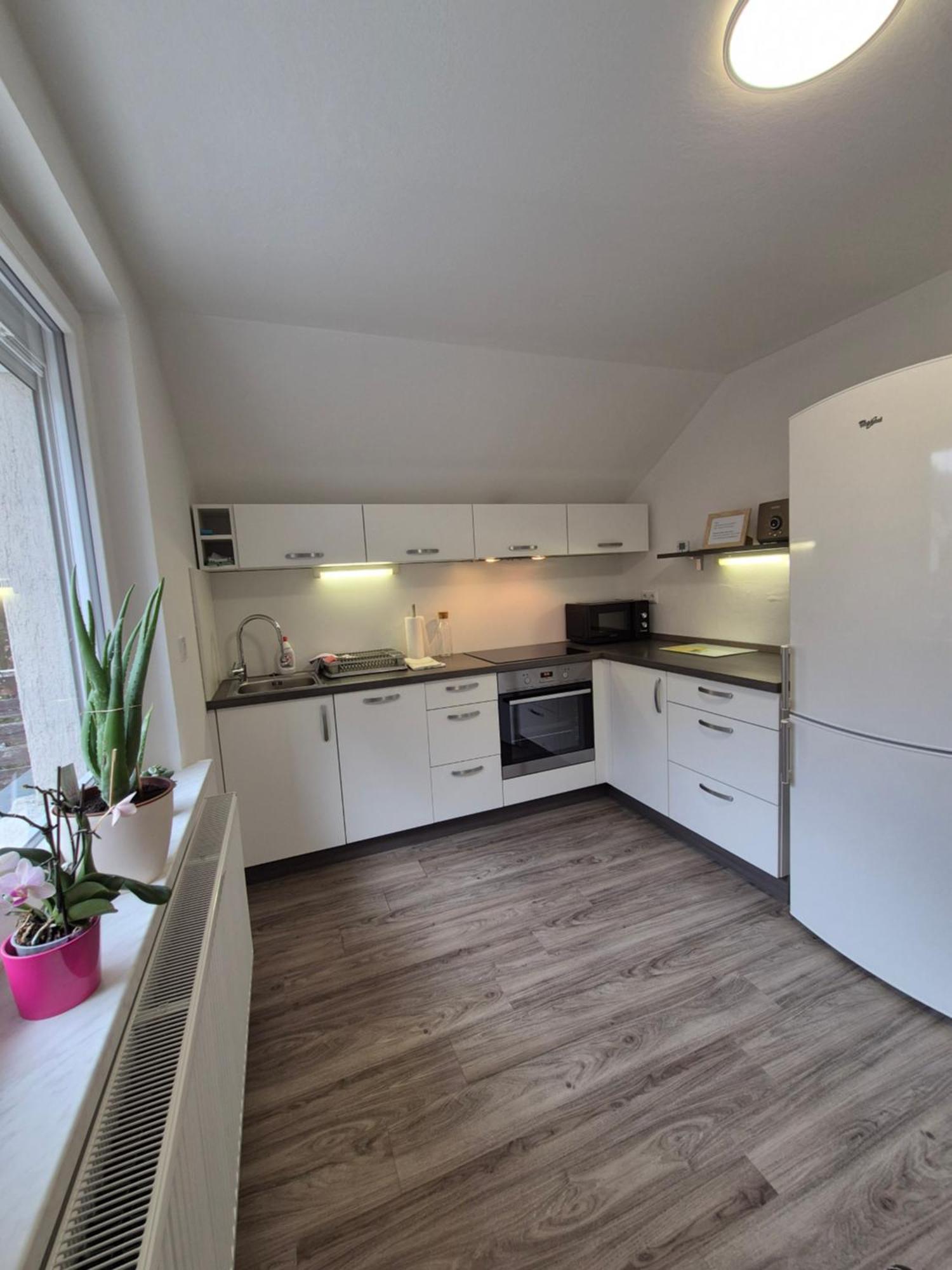 Apartment Petra מויסטראנה מראה חיצוני תמונה