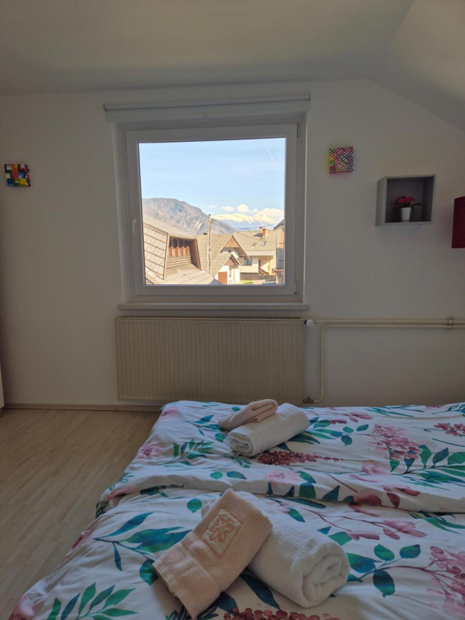 Apartment Petra מויסטראנה מראה חיצוני תמונה