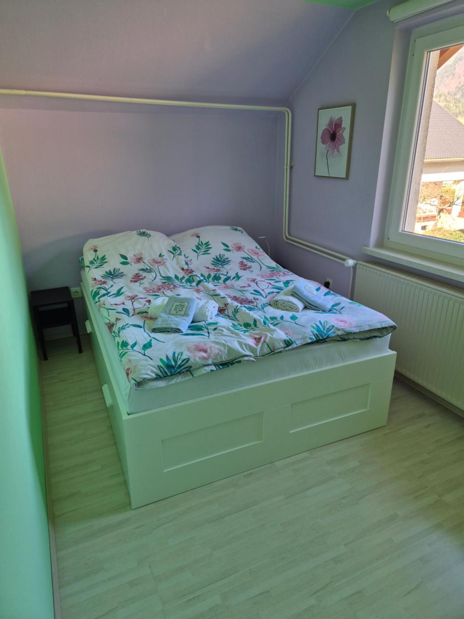 Apartment Petra מויסטראנה מראה חיצוני תמונה